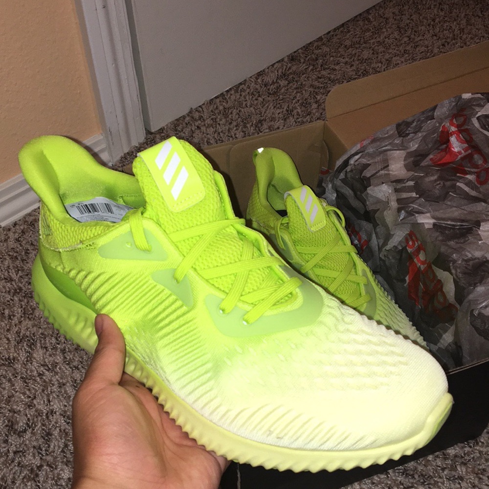 Adidas Alphabounce (BRAND NEW)